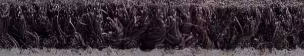 Premium Coir Roll Matting - Black 3 Premium Coir Roll Colours Black Side Profile