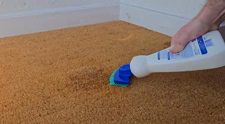Cleaning Coir with Spot Cleaner