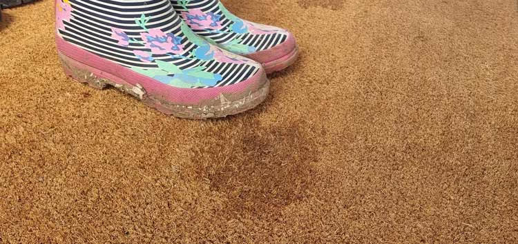 Coir Mats Spillage Stain