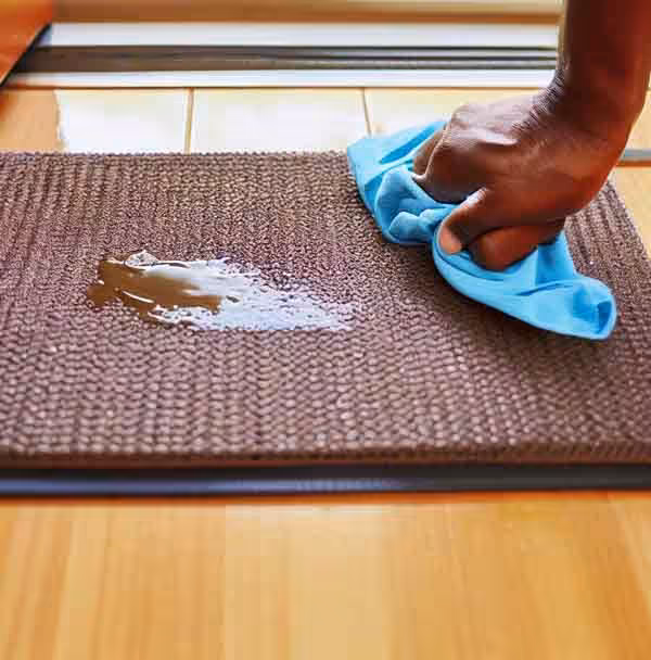How to Clean and Maintain Your Indoor Door Mat 4 How to clean indoor mats blotting stain