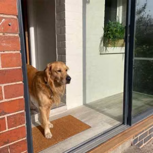 Premium Coir Roll Matting - 20mm Depth