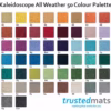 Kaleidoscope All Weather Logo Mat Standard Colours