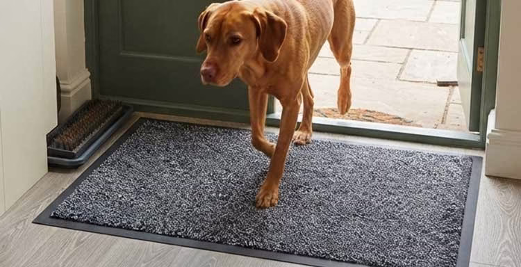 MuckStopper Eco Mat Charcoal with Dog Walking over