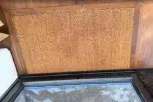 Premium Coir Roll Matting - 20mm Depth